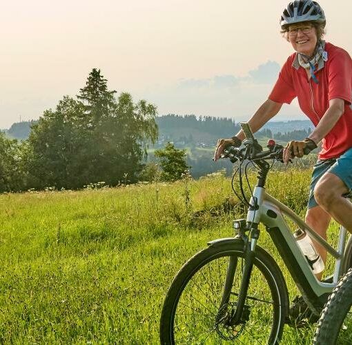 Zu sehen ist das Beitragsbild 1 zum Thema: E-Bike mit Gasgriff Rechtslage & Alternative